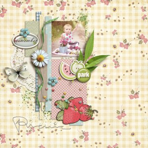 Summer Picnic