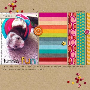 Tunnel Fun