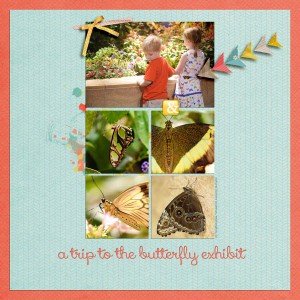 butterfly exhibit