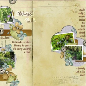 Bluebell Walk