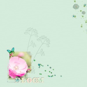 Bloom