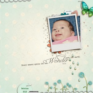 Wonder