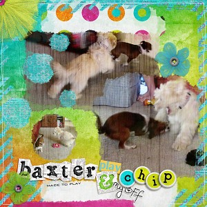 Baxter and Chip