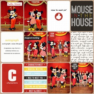 mouse house