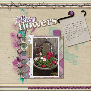 Garden Flowers
