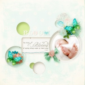 Bloom Baby Bloom