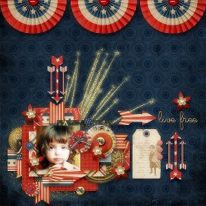 Land Of The Free