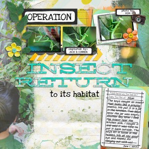 Operation Insect Return