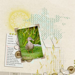 Duck Pond