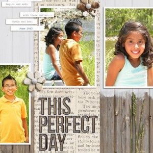 This Perfect Day