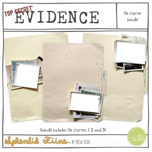 Evidence file starter bundle