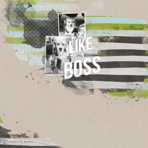 Like A Boss