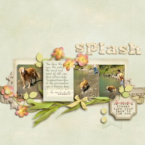 Splash