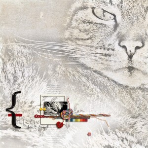 Meow