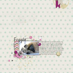 fragile