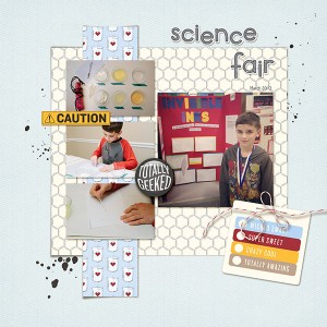 Science Fair