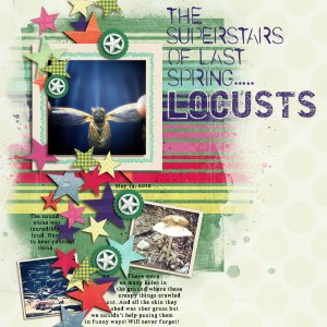 Locusts