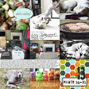 week 13 (left)
