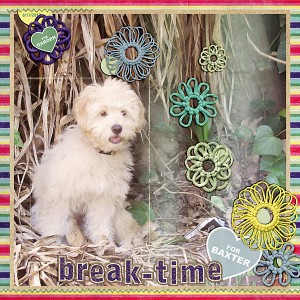 Break-Time for Baxter
