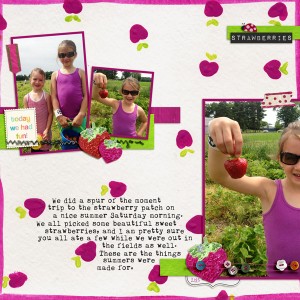 Strawberry Picking