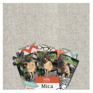 Mica