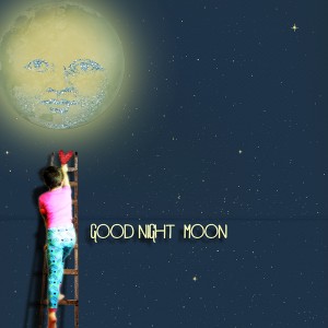 good night moon