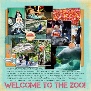 welcome to the zoo