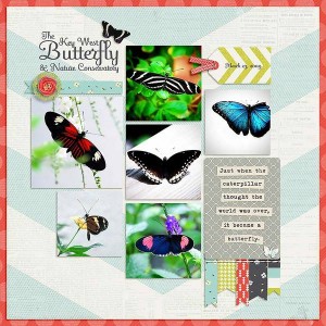 Butterfly and Nature Conservatory