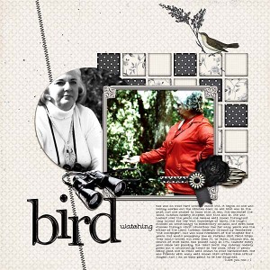 Bird Watching