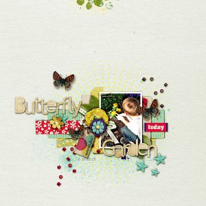 Butterfly Garden