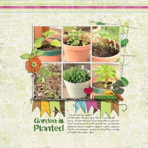 Garden is Planted