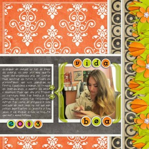 2013: Vida Boa {the good life}