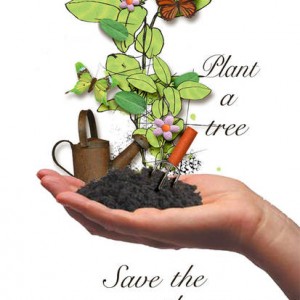 plant a tree, save the earth