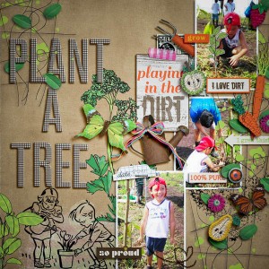 plant a tree