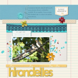 Hirondelles