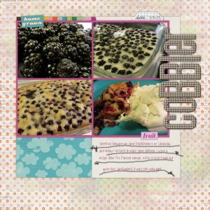 Cobbler