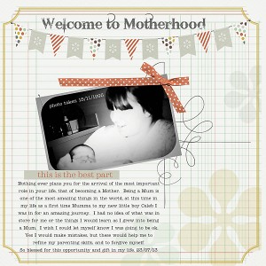 Welcome-to-Motherhood-copy