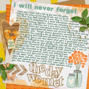 The Day We Met