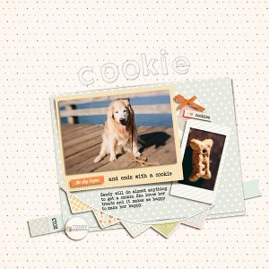 Cookie