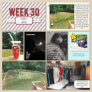 Project Life | Week 30 Left