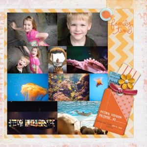 staycation | national aquarium