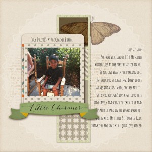 Bob Butterflies