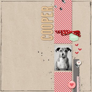Cooper