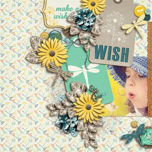 Wish
