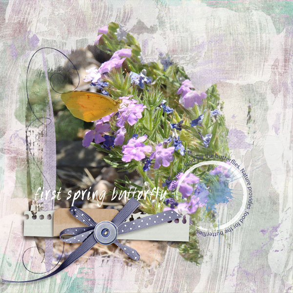 0-first-spring-butterfly