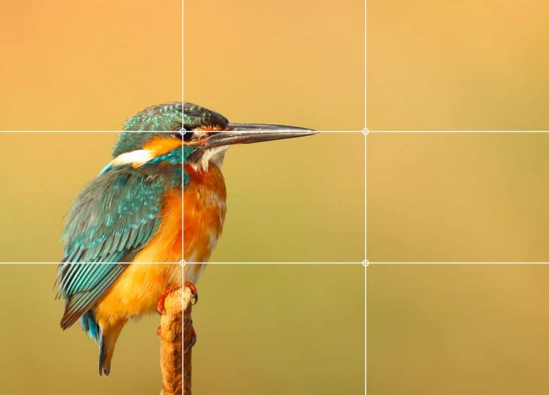 002-Rule-of-Thirds