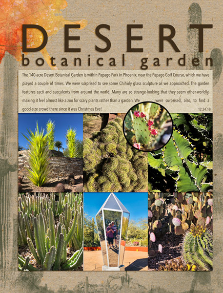 01-19_DesertBotanicalGarden