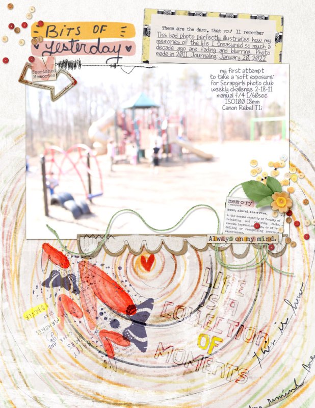 01-20-moc20-badphoto-memory