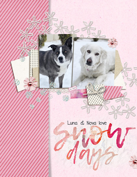01-20_Luna-Nova-SnowDay