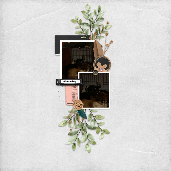 01-Scraplift